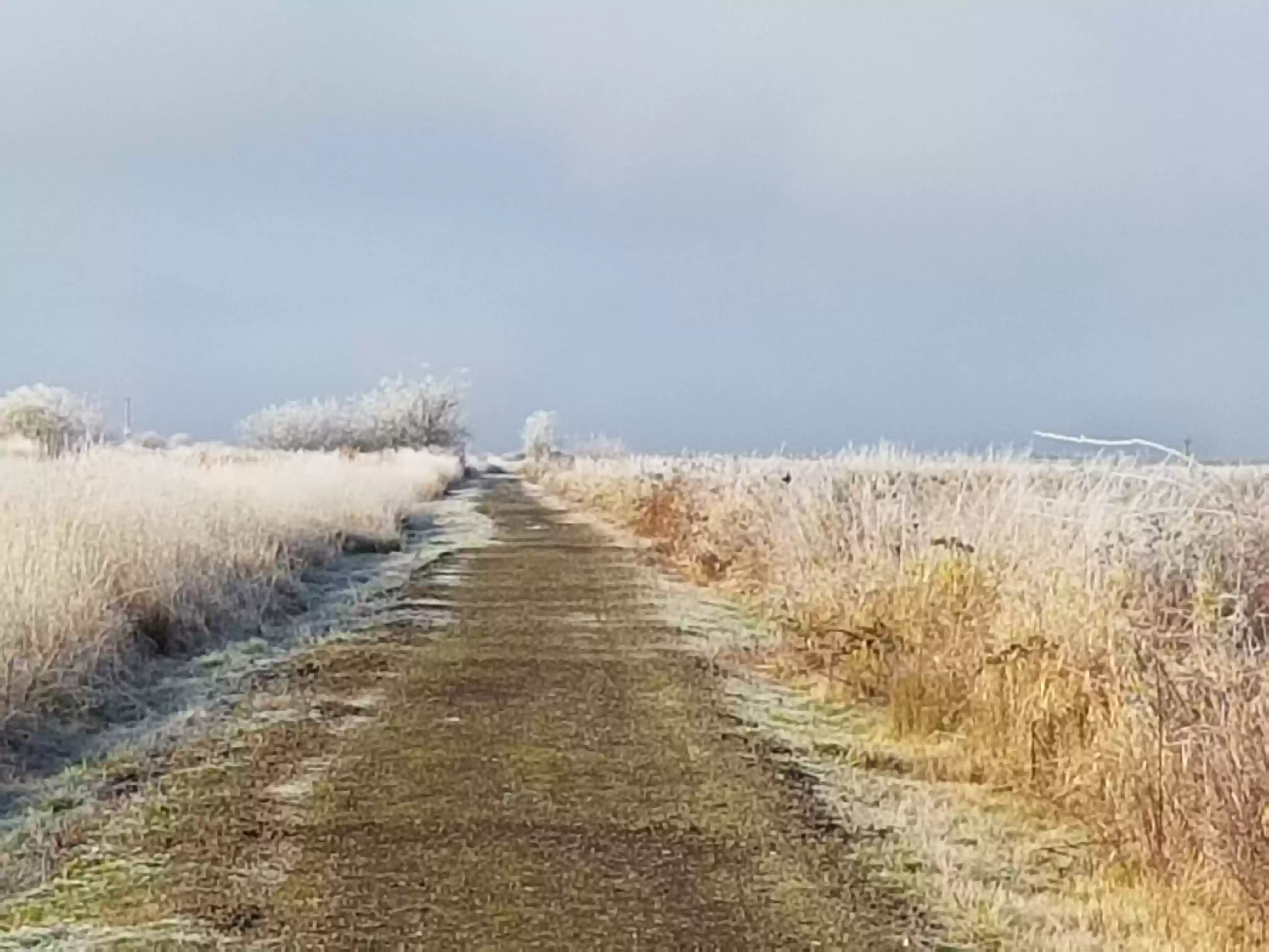 20171211_094656